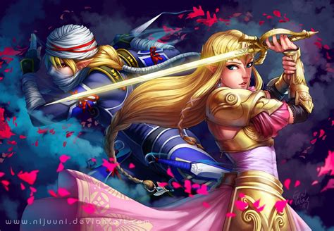 Hyrule Warriors The Princess And Her Shadow By Nijuuni