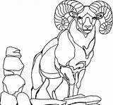 Goat Coloring Pages Male Mountain Alpha Standing Chibi Color Feet Two Colorluna sketch template