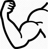 Strong Arm Drawing Muscle Icon Bodybuilder Vector Arms Bodybuilding Fitness Training Icons Svg Getdrawings Iconfinder sketch template