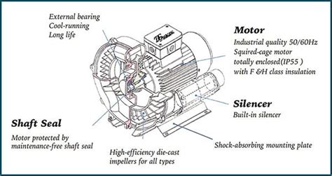 blowers india p   stage regenerative blower  hpac induction motorac motorsair