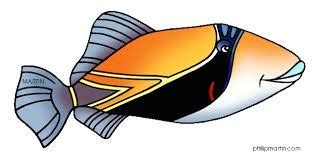 hawaii state fish google search fish coloring page fish clipart fish
