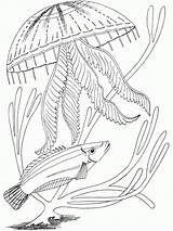 Coloring Ocean Pages Printable Kids Adults Print Animals Jellyfish Underwater Adult Scene Fish Primarygames Sea Color Colouring Detailed Animal Science sketch template