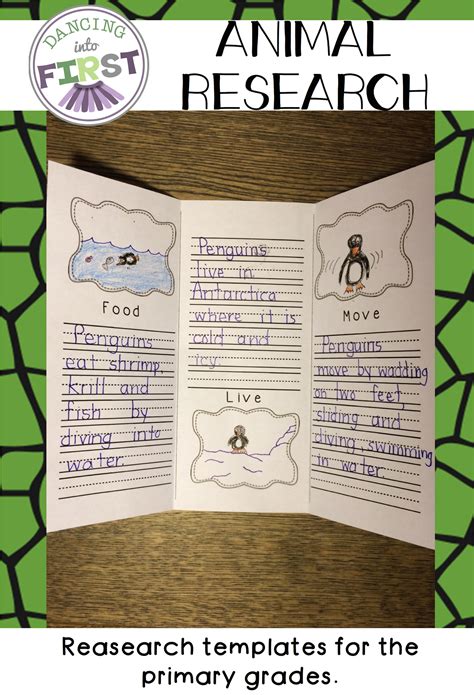 animal research templates  primary grades  grade writing st