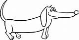 Dachshund Dackel Ausmalen Teckel Hund Coloring Perro Hond Perros Salchichas Pixers Stockillustratie Izakowski Depositphotos Visualization sketch template