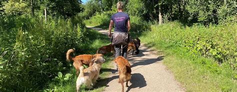 hondencoaching hondenopvang eigenwijze