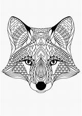 Colouring Foxes sketch template