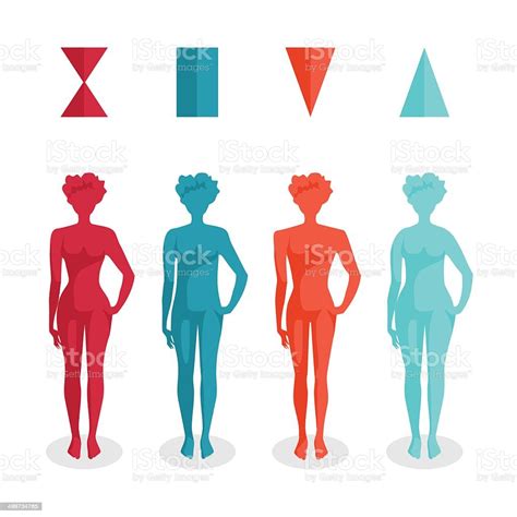 female body shapes four types stock illustration download image now