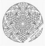 Coloring Pages Adults Sheets Adult Printable Soccer Daylily Spring Extreme Mandala Hard Complex Cool Only Southwest Books Colouring Color Online sketch template