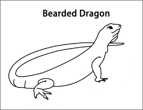 bearded dragon coloring page animals town animals color sheet