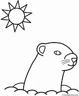 Coloring Groundhog Animals Color Kids Woodchucks Pages Print Search Groundhogs Bigactivities sketch template
