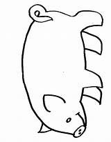 Pork Coloring Pages Getcolorings Color sketch template