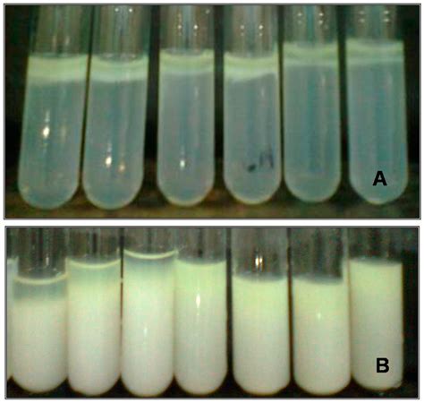 gels  full text effect  xanthan gum   rheological