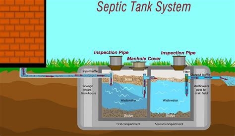 septic systems work discover  earth