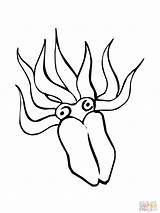 Squid Coloring Giant Minecraft Pages Clipart Clipartmag Drawing Colossal Getdrawings Getcolorings sketch template