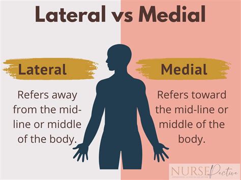 lateral anatomy definition  tips  tricks  remember