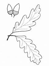Leaf Oak Pattern Template Fall Leaves Printable Templates Printables Patterns Outline Drawing Stencil Google Coloring Leave Popular Autumn Getdrawings Coloringhome sketch template