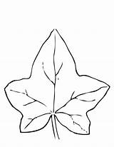 Acorn Coloring Pages Oak Leaves Printable Adults Kids sketch template