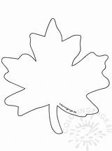 Leaf Simple Coloring Pages Labeled Maple Template sketch template