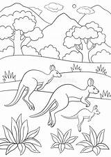 Kangaroo Runs Kangourou Canguro Coloritura Pagine Coloration Smiles Courses Funzionamenti Vectors Madre Piccolo sketch template