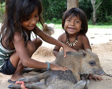 giving the amazon rainforest back to the awa tribe bbc news