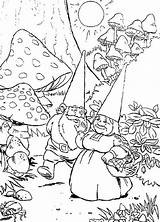 Gnome Coloring Pages David Forest Getcolorings Getdrawings Popular sketch template