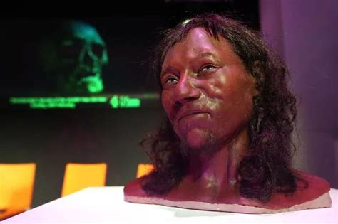 cheddar man s face revealed as scientists create reconstruction of
