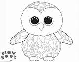 Owl Coloring Pages Beanie Boo Cute Owls Printable Kids Color Print Popular sketch template
