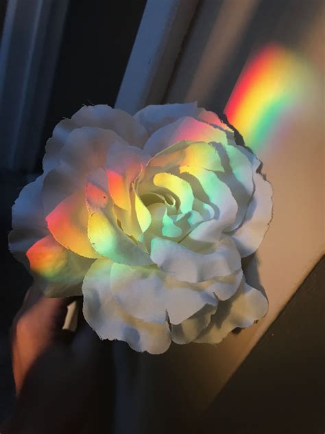 pin  stitch fan  ill flower aesthetic rainbow aesthetic