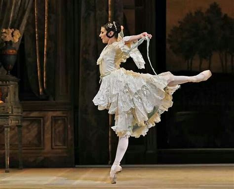 alina cojocaru with images ballet beauty ballet