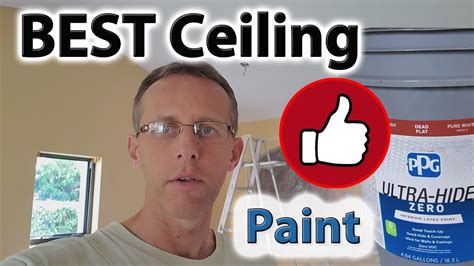 ceiling paint ppg dead flat youtube