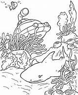 Unterwasserwelt Ausdrucken Ausmalen Unterwasser Malen Zahlen Mycoloring Krebs Kinderbilder Dekoking sketch template