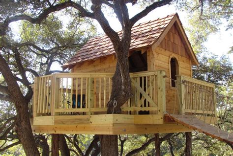 cool treehouse design ideas  build  pictures