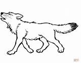 Wolf Baby Coloring Pages Color Online sketch template