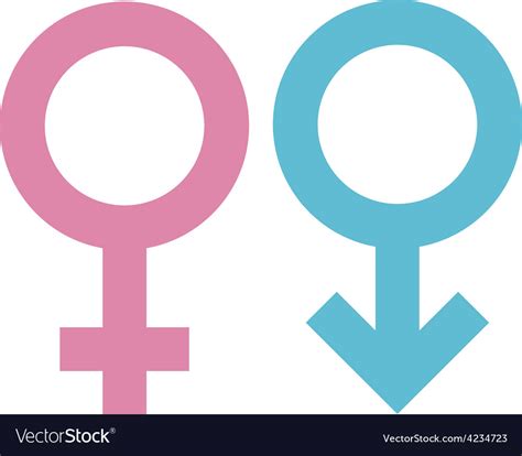 gender signs royalty  vector image vectorstock