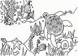 Oceano Ecosystem Peixinho Nadando Tartaruga Coral Reef Tudodesenhos sketch template