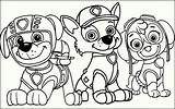 Paw Patrol Coloring Pages Printable Kids Getdrawings sketch template