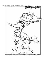 Coloring Woody Woodpecker Pages Book Kids Print sketch template