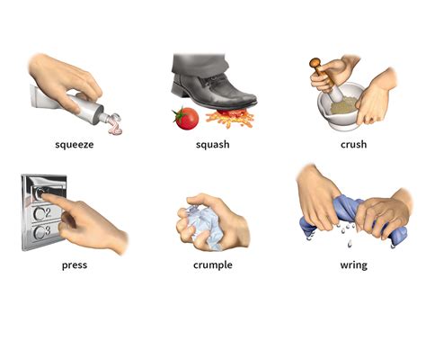 wring verb definition pictures pronunciation  usage notes