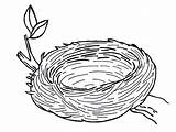 Nest Coloring Bird Pages Warm sketch template