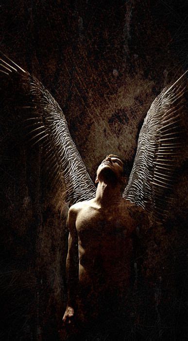 dreamsinthyme dark lord spread his wings he looked to the stars and smiled… for he would fly