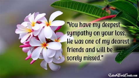 condolence quotes   friend deepest sympathy images  quotes