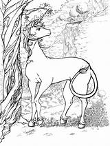Coloring Pages Unicorn Realistic Colouring Library Clipart Magical sketch template