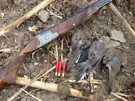 My Favorite Shotgun For Dove Hunting Larry S Short Stories
