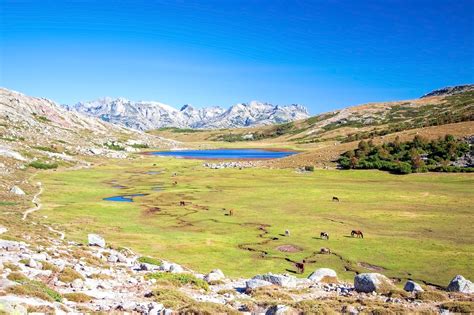 las  mejores cosas  hacer en corcega cuales son los principales atractivos de corcega