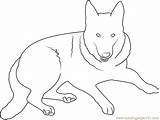 German Shepherd Coloring Dog Pages Drawing Line Color Dogs Kids Coloringpages101 Popular sketch template