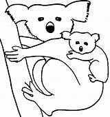 Koala Coloring Pages Koalas Color Animal Baby Kids Printable Sheet Drawing Animals Clipart Print Bear Panda Wombat Clipartbest Getdrawings Back sketch template