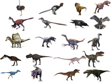 theropoda dinopedia fandom
