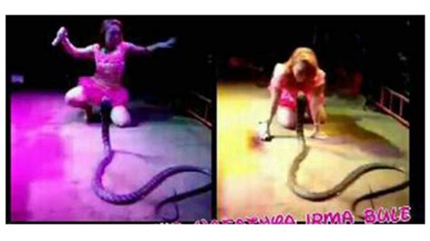 detik detik tewasnya penyanyi dandut irma bule dipatuk ular disaat manggung versi video