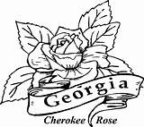 Coloring Pages Rose Cherokee State Printable Georgia Drawing Flowers Flower Clipart Kids Draw Bulldog Bluebonnet Library Clip Comments Adults Villain sketch template