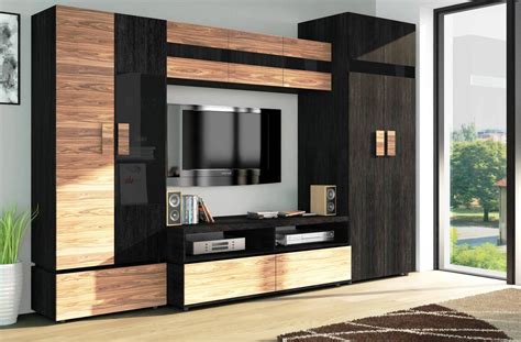 living room cabinet furniture  add practilcal solutions   interior